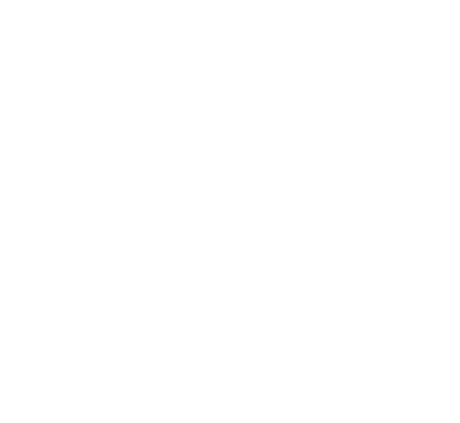 &nbsp;YOUNGSEGIOVANI 